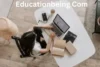 Educationbeing Com Complete Guide for Students and Online Learners - Post Thumbnail