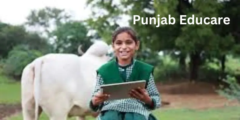 Punjab Educare – A Guide to Features, Benefits, Login Process, and Online Learning Punjab educare