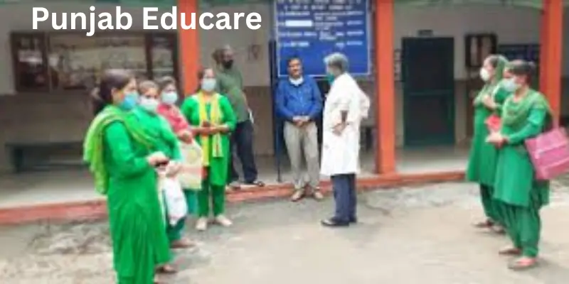 Punjab Educare – A Guide to Features, Benefits, Login Process, and Online Learning Punjab educare staff